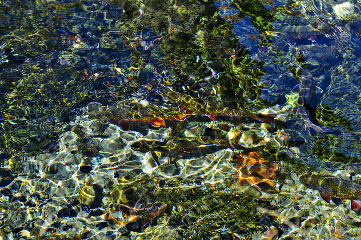 Keyframe